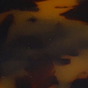 swatch-image