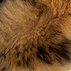 swatch-image