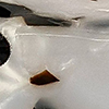 swatch-image