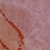 swatch-image