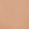 swatch-image