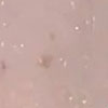 swatch-image