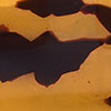 swatch-image