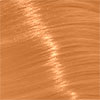 swatch-image