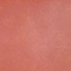 swatch-image