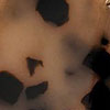 swatch-image