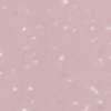swatch-image