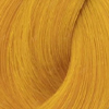 swatch-image