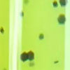 swatch-image
