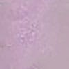 swatch-image