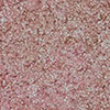 swatch-image