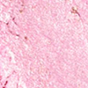 swatch-image