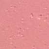 swatch-image