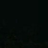 swatch-image