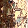 swatch-image