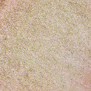 swatch-image