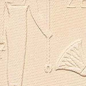 swatch-image
