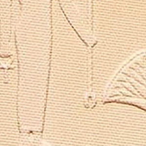swatch-image