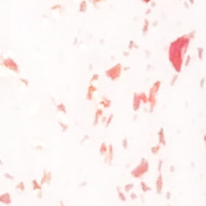 swatch-image