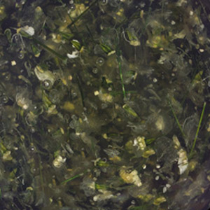 swatch-image