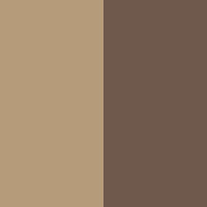 swatch-image