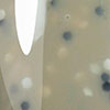 swatch-image