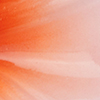 swatch-image