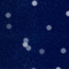 swatch-image