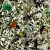 swatch-image