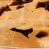 swatch-image