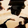 swatch-image