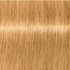 swatch-image