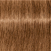 swatch-image