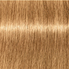 swatch-image