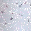 swatch-image
