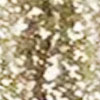 swatch-image