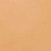 swatch-image