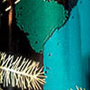 swatch-image