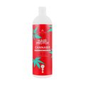 Шампунь для волос Kallos Cosmetics Hair Pro-Tox Cannabis Shampoo с маслом семян конопли, кератином и витаминным комплексом