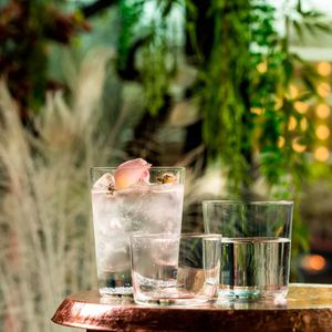 Стакан для виски Beverage 220 мл Cidra Нидерланды (1506830)