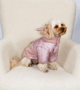 Куртка DOGS BOMBA для собак Teddy, цвет пудра, 3 размер (1612280)