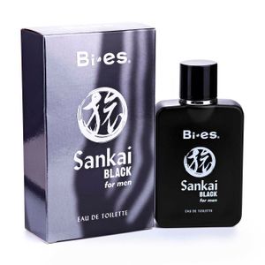 Туалетная вода BI-ES Sankai Black мужская 100мл