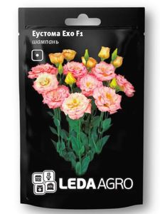 Еустома "Ехо F1" шампань ТМ "Leda Agro" 5 шт. (1976853)