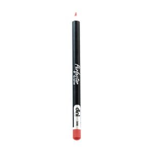 Уцінка! Олівець для губ Dini Perfector Lip Pencil 308, 2 г