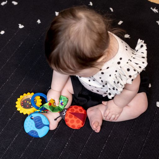 Игрушка-подвеска на коляску Baby Einstein Touch of Nature с рождения (16886)