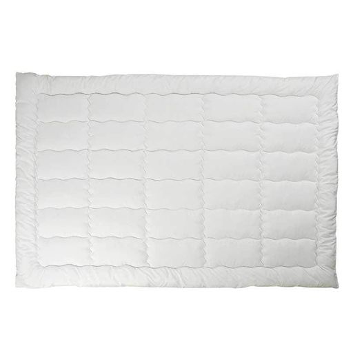 Набор одеяло с подушкой Руно Warm Silver теплое белое полуторное 140x205+50x70 см 400 г/м2 (22622) (1007767)