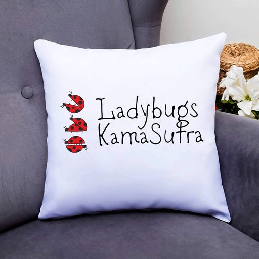 Подушка декоративна з принтом "Ladybugs Kama Sutra. Сонечка Кама Сутра" Кавун П000756 (1011353)
