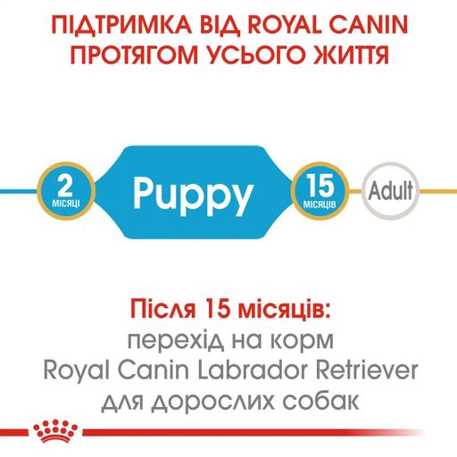 Сухий корм для цуценят породи лабрадор-ретривер Royal Canin Labrador Retriever Puppy