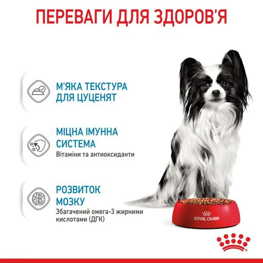 Влажный корм для щенков Royal Canin X-Small Puppy, 85 г (1593001)