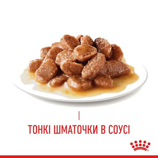 Влажный корм для взрослых кошек Royal Canin Hairball Care кусочки в соусе, для выведения комков шерсти, 85 г (4158001)